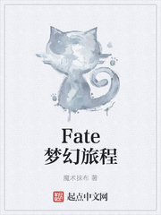 fate梦幻旅途