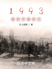 华娱1990小说